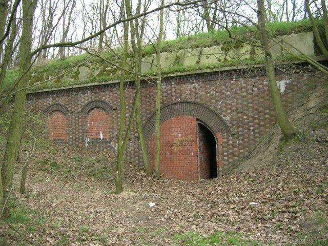 photo7.jpg