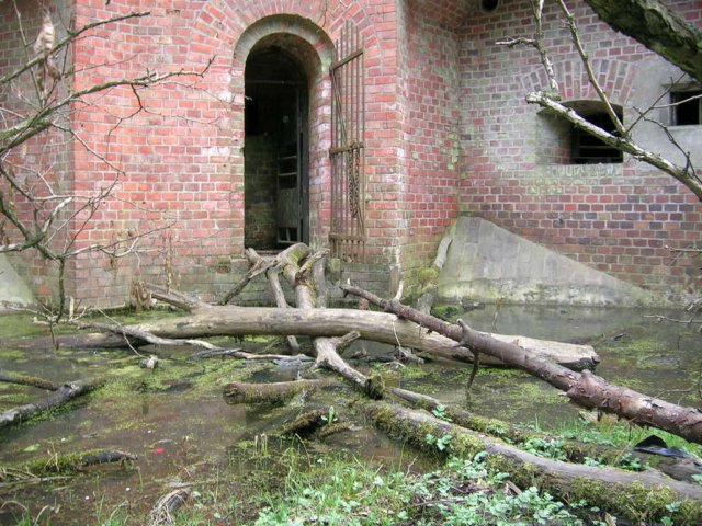 photo9.jpg