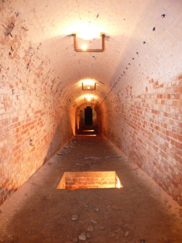 photo25.jpg