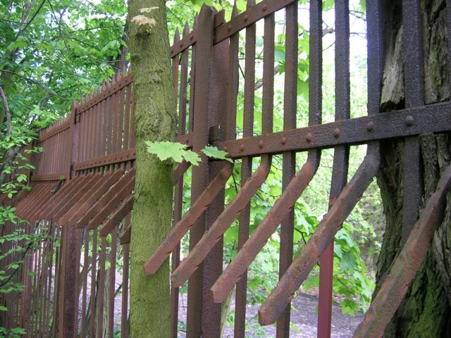 photo4.jpg
