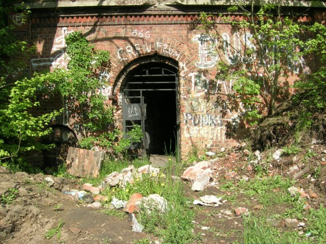 photo7.jpg