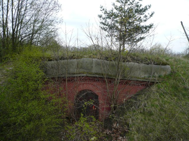 photo11.jpg