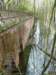photo16_small.jpg