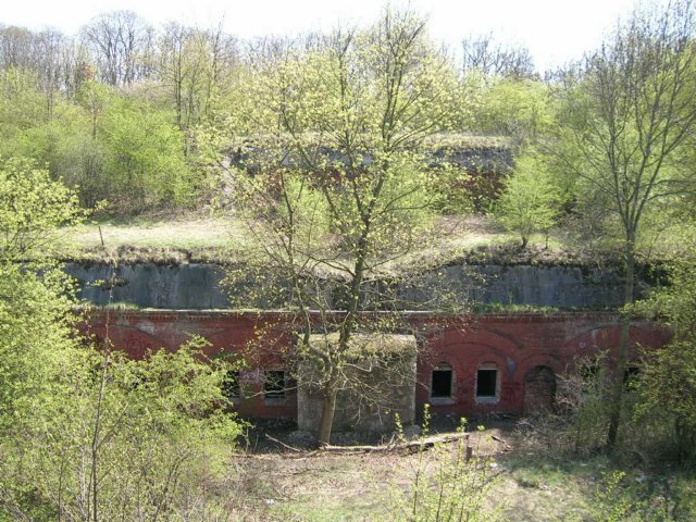photo4.jpg