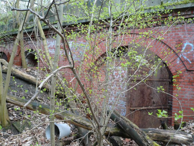 photo9.jpg