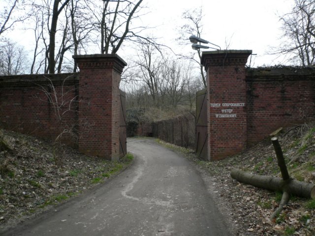 photo.jpg