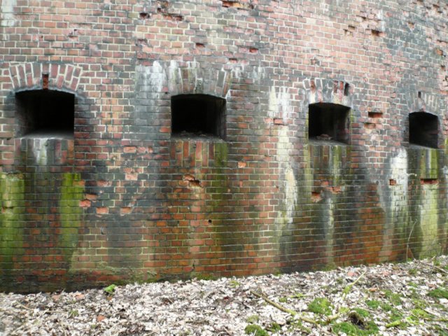 photo15.jpg