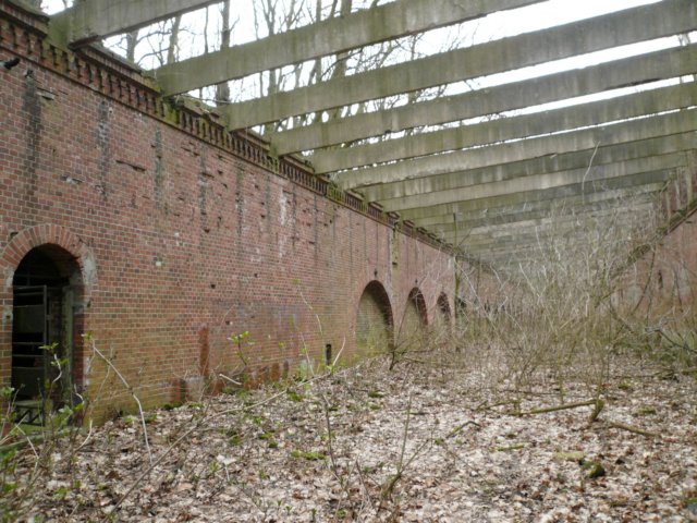photo9.jpg