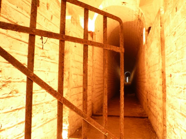 photo31.jpg