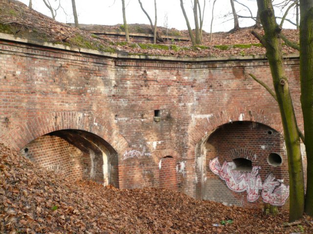 photo15.jpg