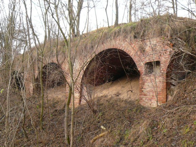 photo19.jpg