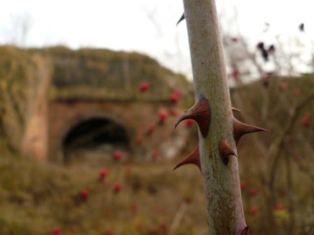 photo21.jpg