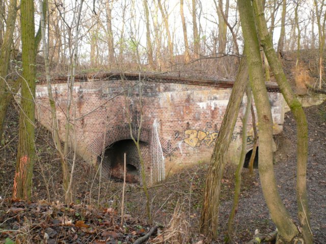 photo11.jpg