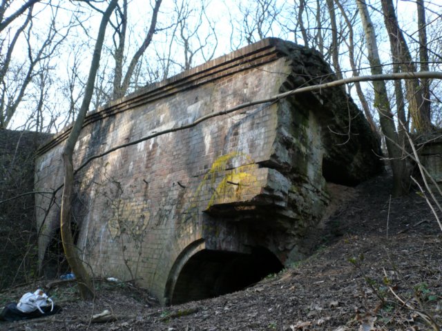 photo13.jpg