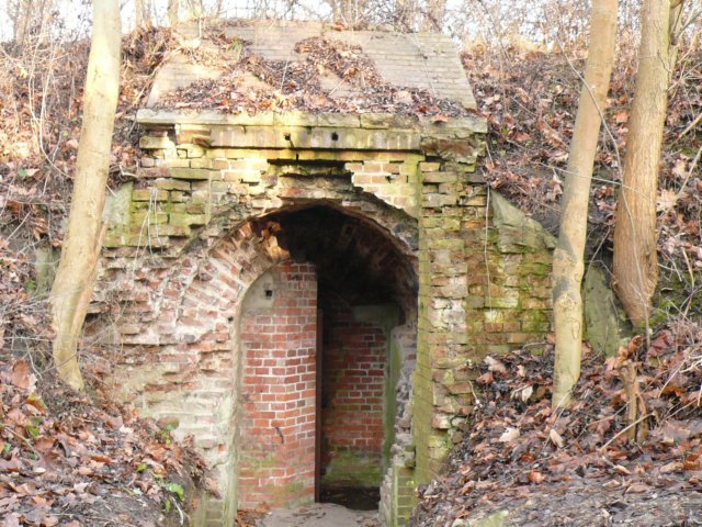 photo14.jpg
