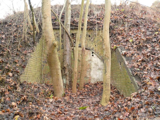 photo9.jpg