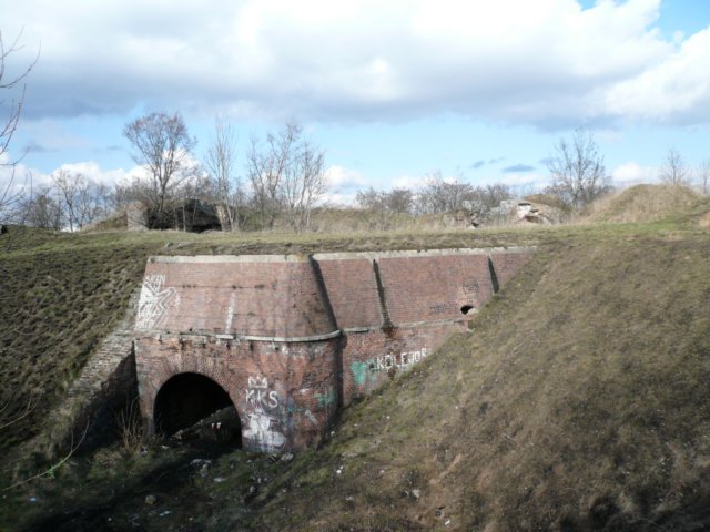 photo.jpg