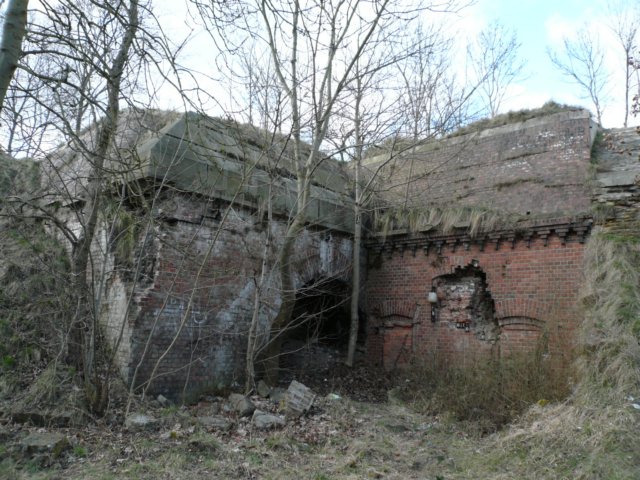 photo10.jpg