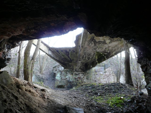 photo19.jpg