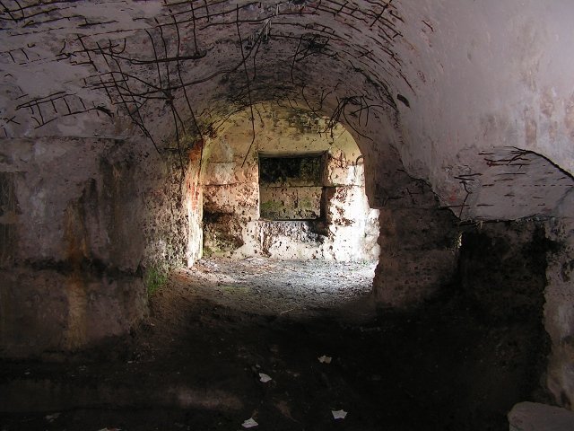 photo6.jpg