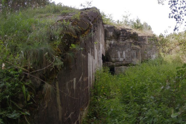 photo.jpg