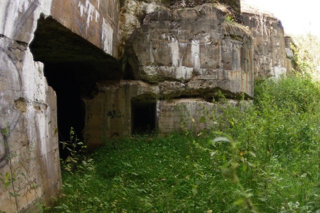 photo6.jpg