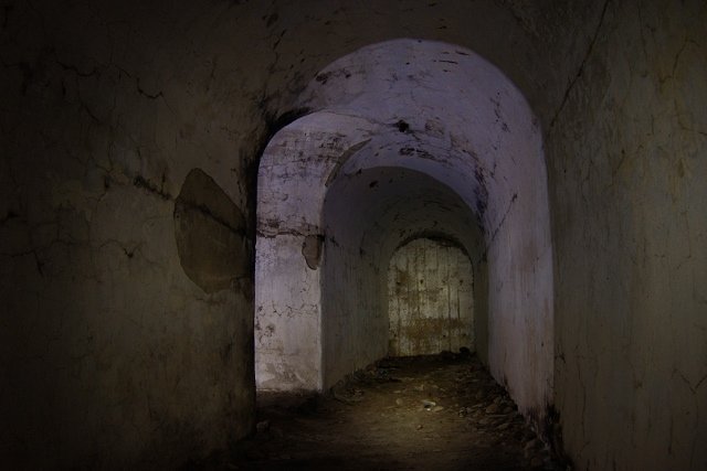 photo11.jpg