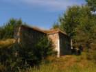 photo14_small.jpg