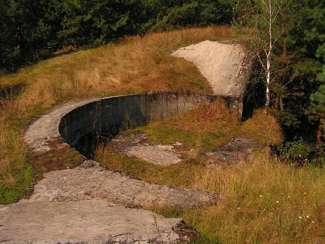 photo3.jpg