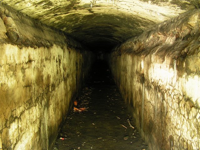 photo8.jpg