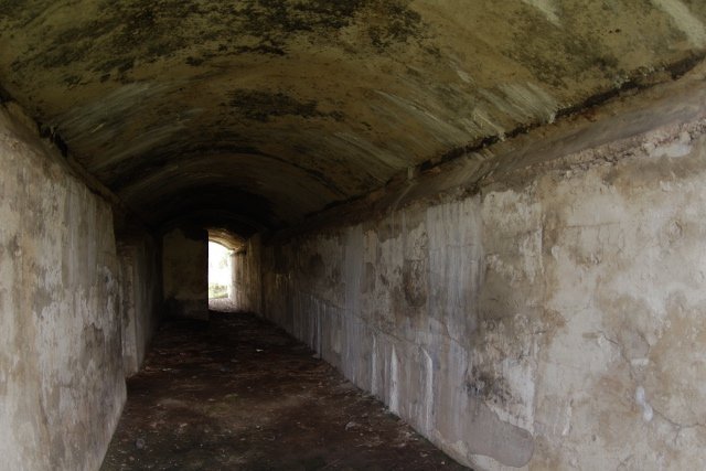 photo4.jpg