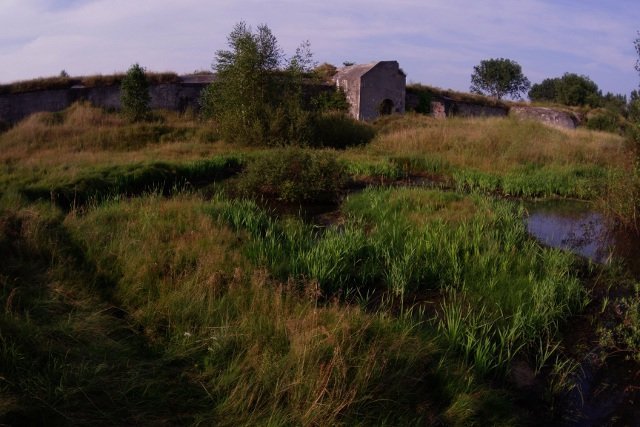 photo7.jpg