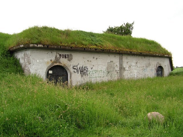 photo3.jpg