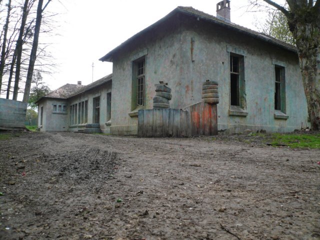 photo9.jpg