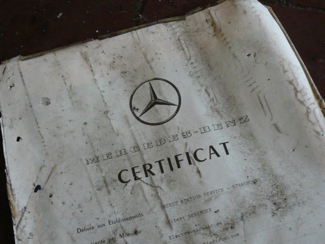 photo7.jpg