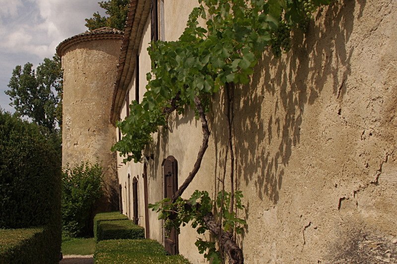 photo7.jpg