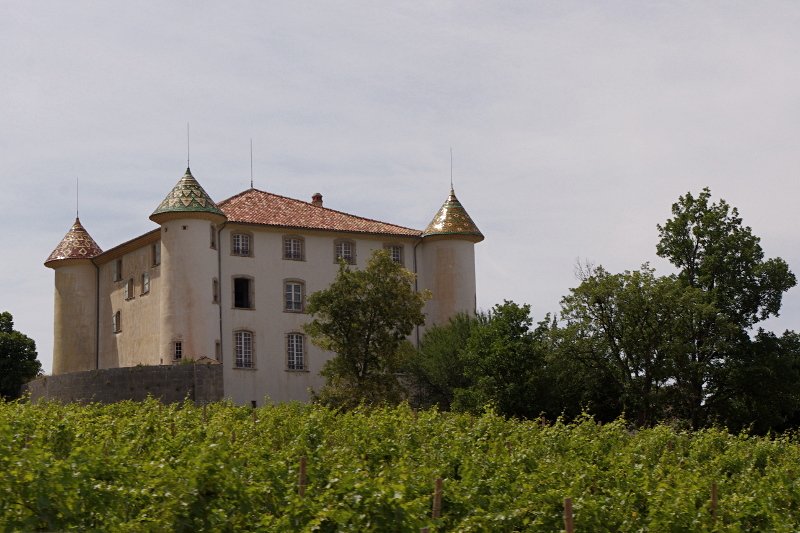 photo7.jpg