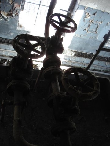 photo15.jpg