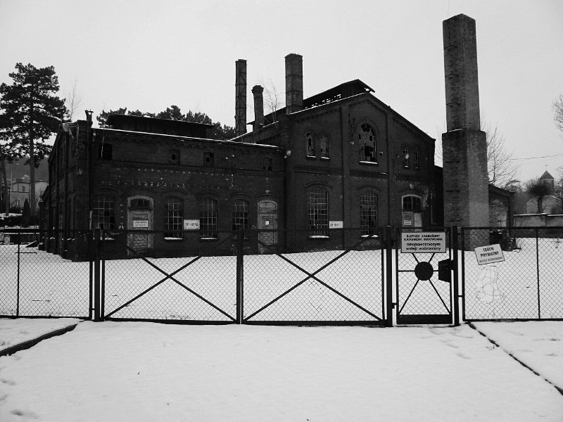 photo.jpg