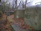 photo3_small.jpg