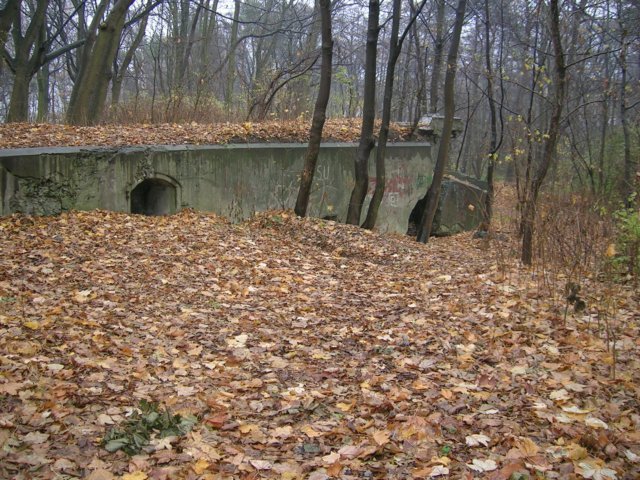 photo4.jpg