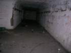 photo5_small.jpg