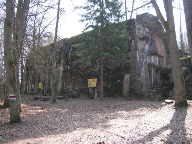 photo4.jpg