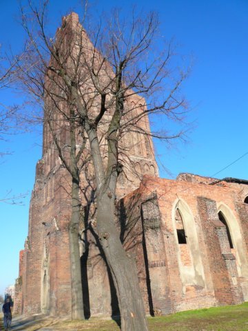 photo3.jpg