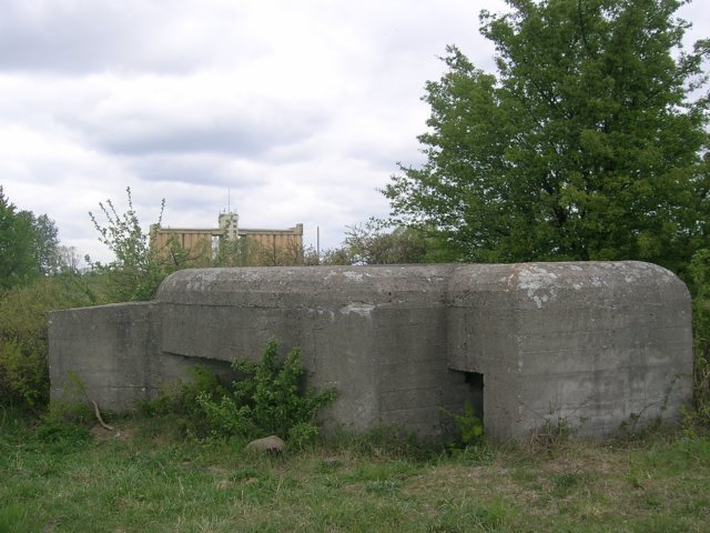 photo.jpg