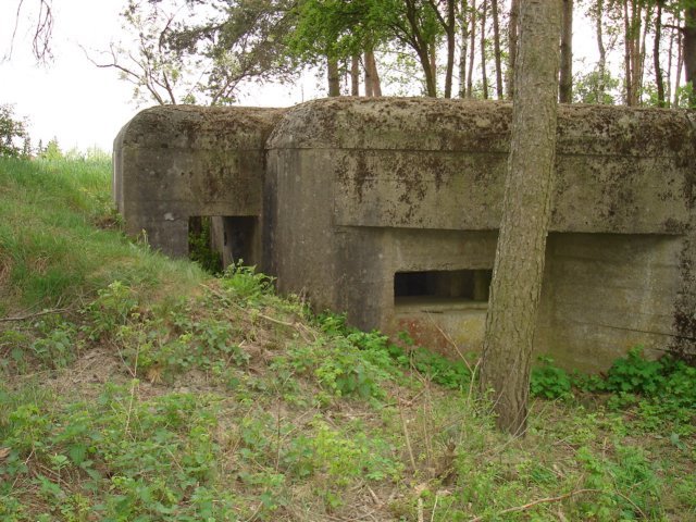 photo2.jpg