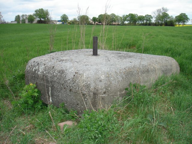 photo8.jpg