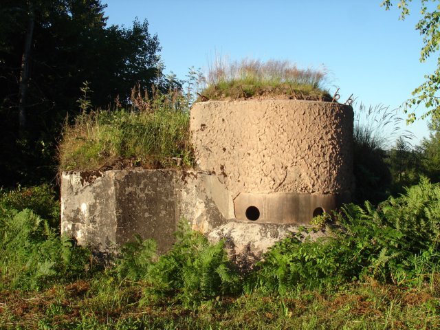 photo.jpg