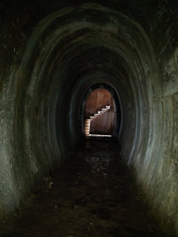 photo12.jpg