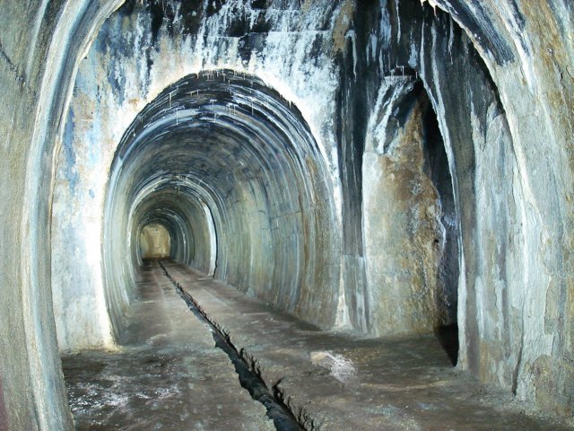 photo7.jpg